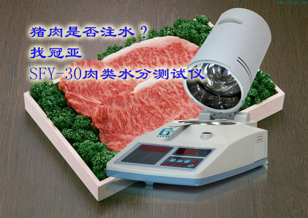 肉類水分快速測定儀