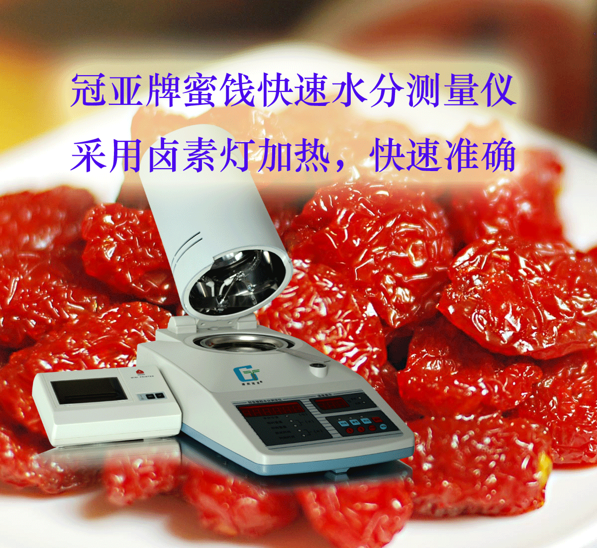 蜜餞水分測試儀